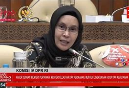 Anggota Dpr Ri Pdip